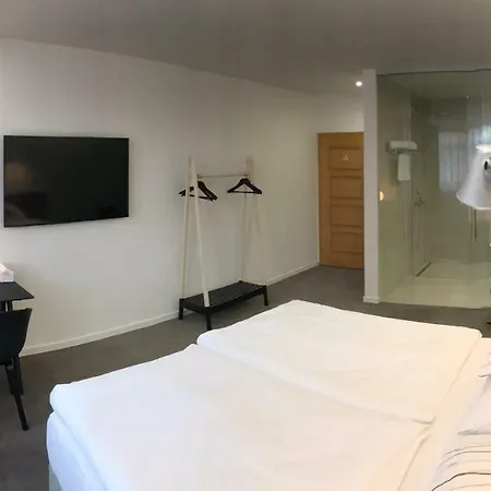 Hotel Rozmaryn B&B 3* Rakovník